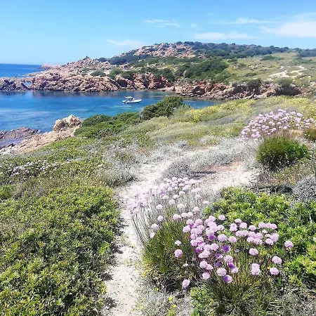 La Tasgia