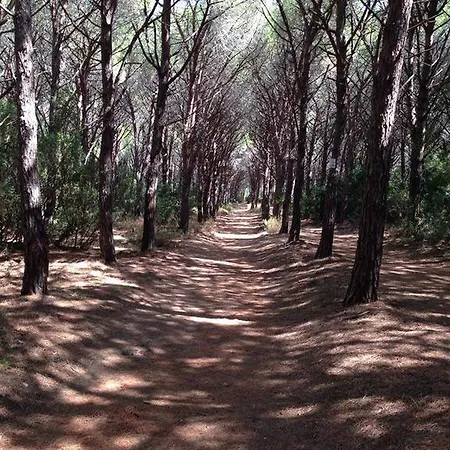 Bed & Breakfast La Tasgia