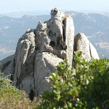 Bed & Breakfast La Tasgia Aggius