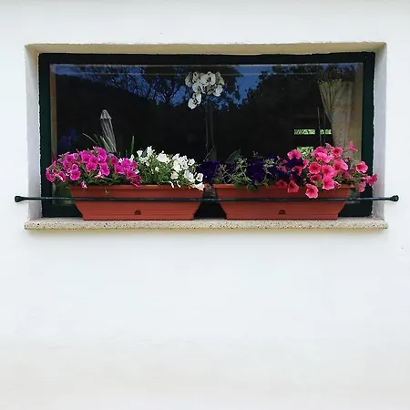 Bed & Breakfast La Tasgia