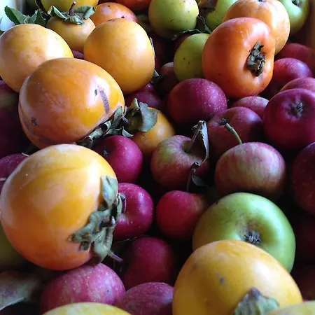 La Tasgia Bed & Breakfast 3*