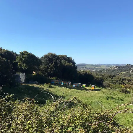 La Tasgia
