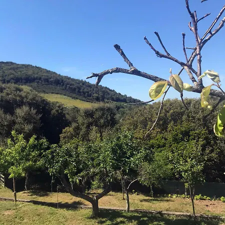 La Tasgia 3*