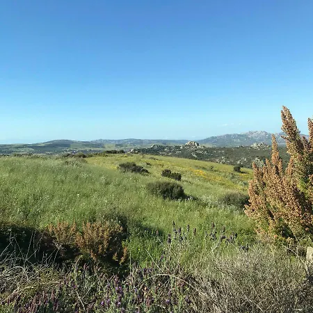 La Tasgia