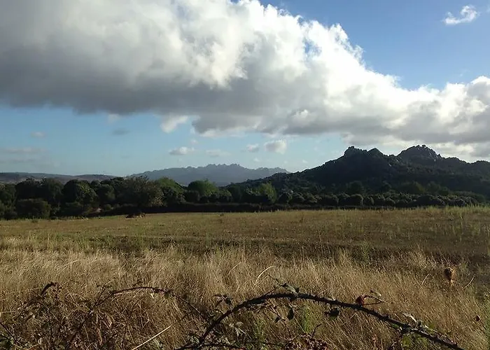 La Tasgia לינה וארוחת בוקר 3*