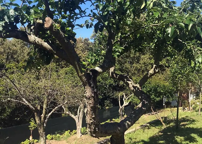 לינה וארוחת בוקר La Tasgia 3*