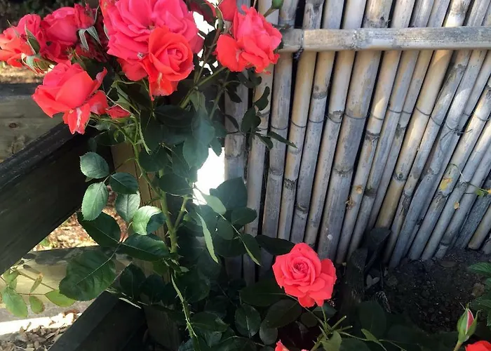 La Tasgia לינה וארוחת בוקר