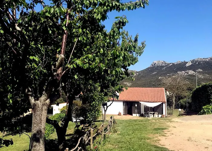 La Tasgia לינה וארוחת בוקר