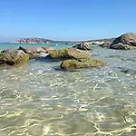 La Tasgia