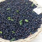 La Tasgia 3* Aggius