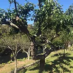 Bed & Breakfast La Tasgia 3*