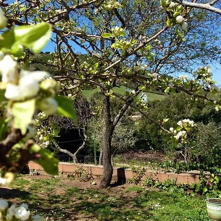 La Tasgia Aggius