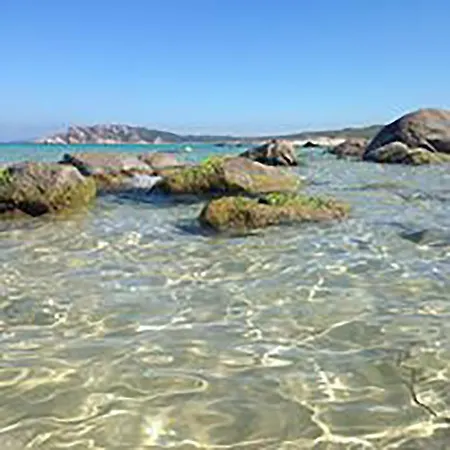 La Tasgia