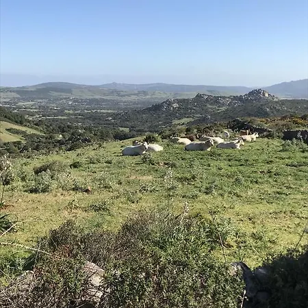 La Tasgia *