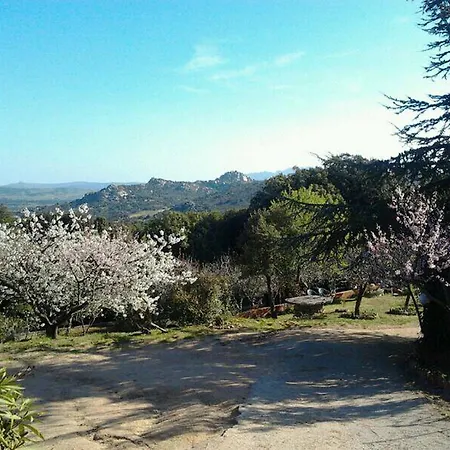 La Tasgia 3*
