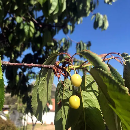 La Tasgia *