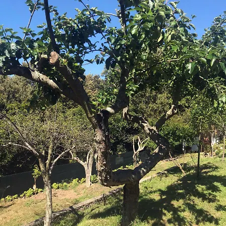 Frühstückspension La Tasgia 3*