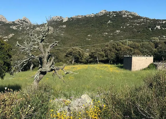 La Tasgia Panzió Aggius